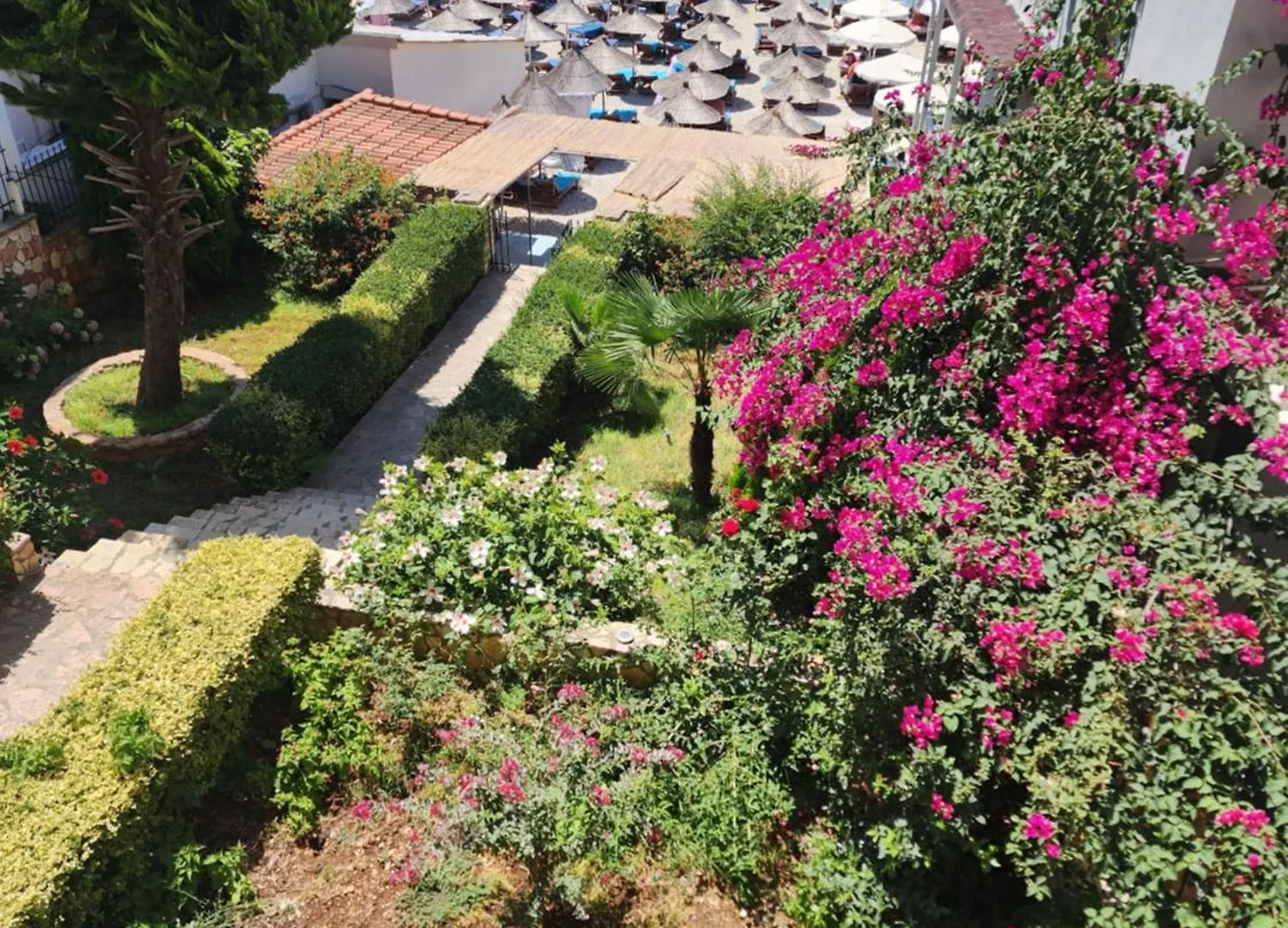 Amelie'S Apartments & Beach Saranda