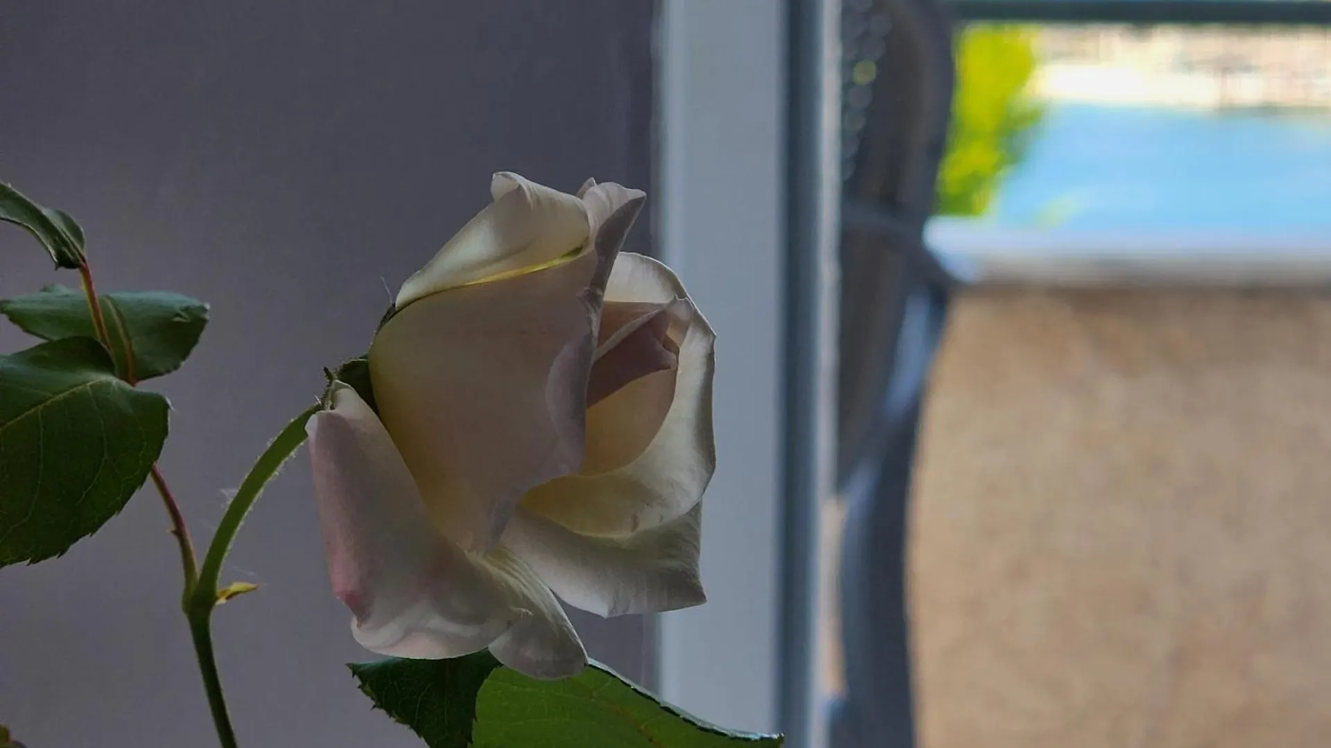 Amelie'S Apartments & Beach Saranda Hotel Sarande